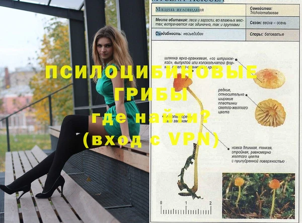 эйфоретик Переславль-Залесский