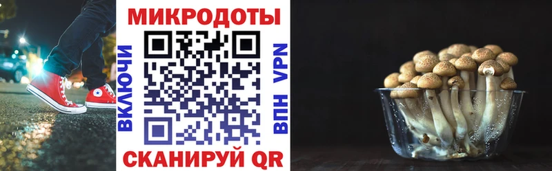 площадка клад  наркошоп  Изобильный  Псилоцибиновые грибы мицелий 