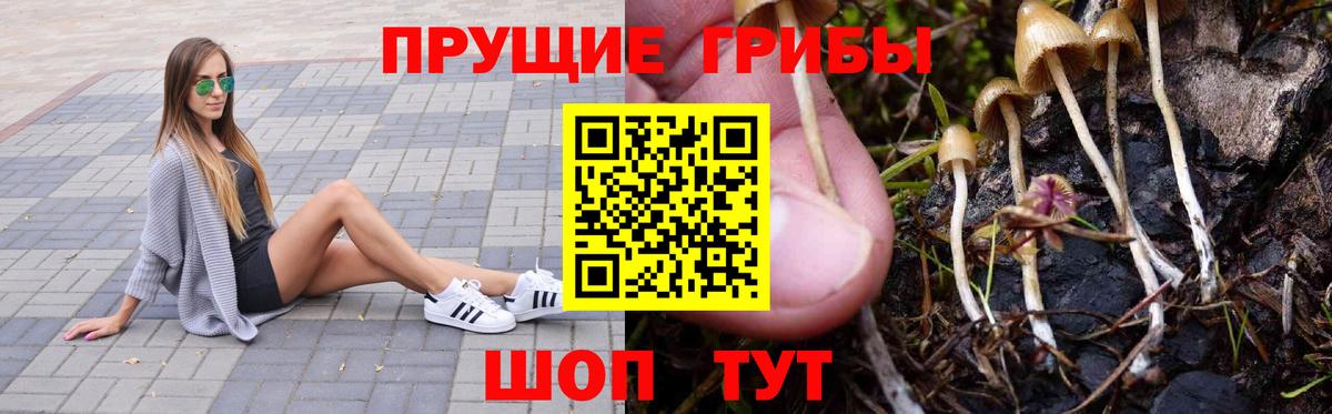 Псилоцибиновые грибы MAGIC MUSHROOMS Изобильный